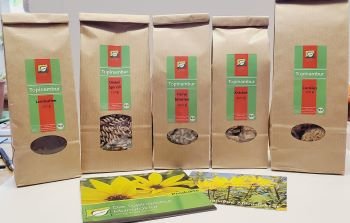 topinambur-bestseller-set-ansicht-7